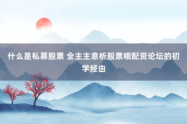 什么是私募股票 全主主意析股票哦配资论坛的初学经由
