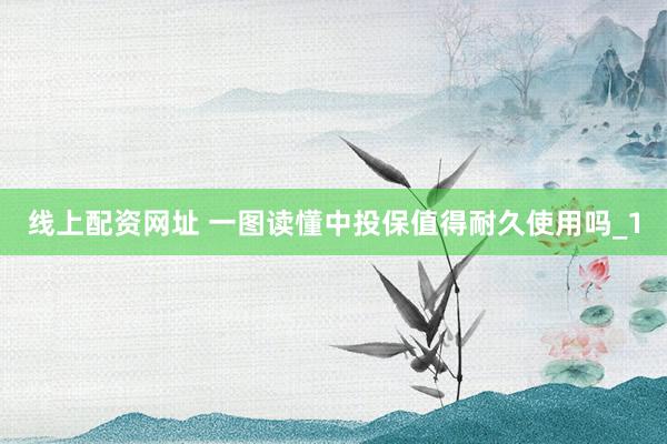 线上配资网址 一图读懂中投保值得耐久使用吗_1