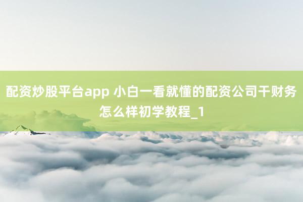 配资炒股平台app 小白一看就懂的配资公司干财务怎么样初学教程_1