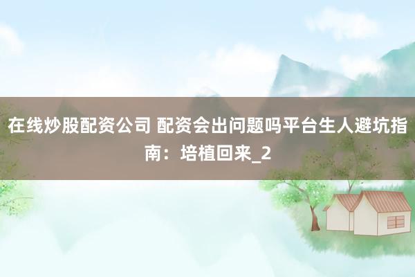 在线炒股配资公司 配资会出问题吗平台生人避坑指南：培植回来_2
